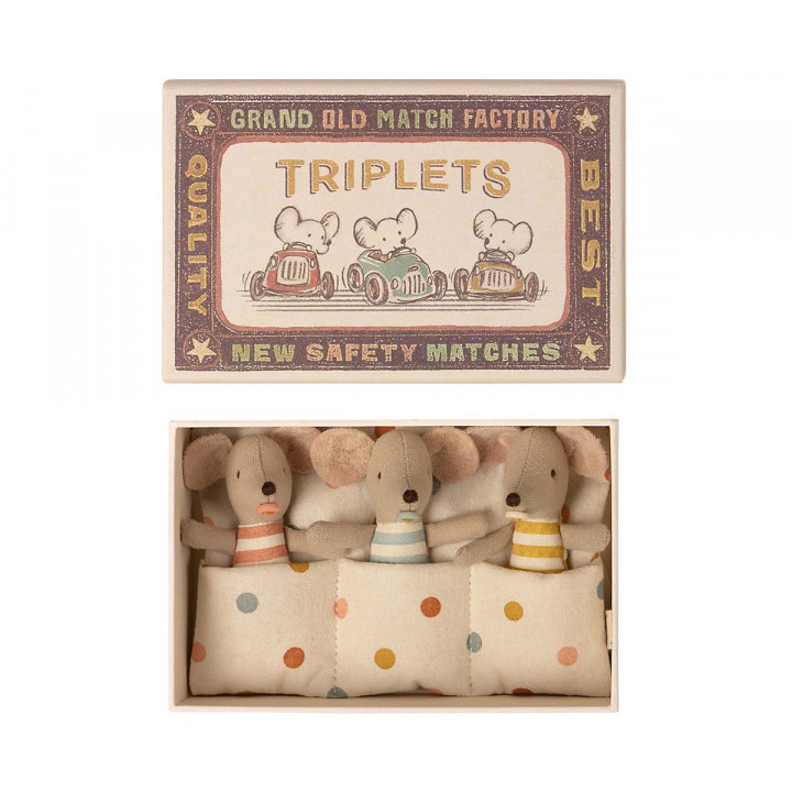 Baby mice - Triplets in matchbox