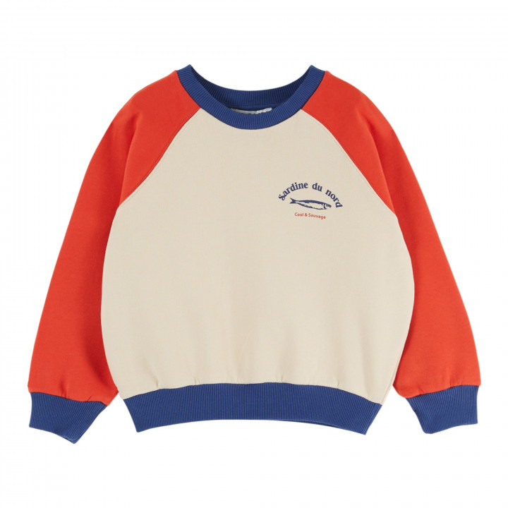 Printed Colourblock Sweatshirt Tricolore