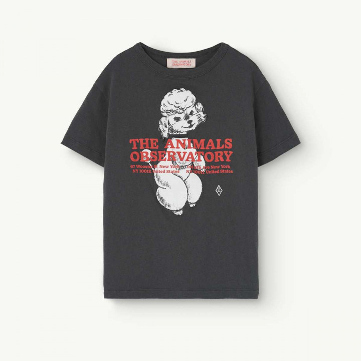 Rooster Kids T-Shirt Grey