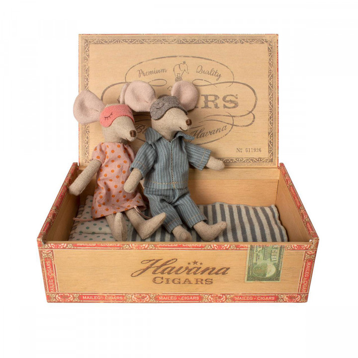 Mum & Dad Mice In Cigar Box