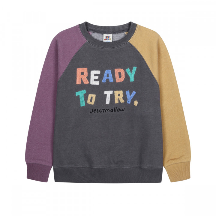 Ready Color-Block Washed Raglan Sweatshirt