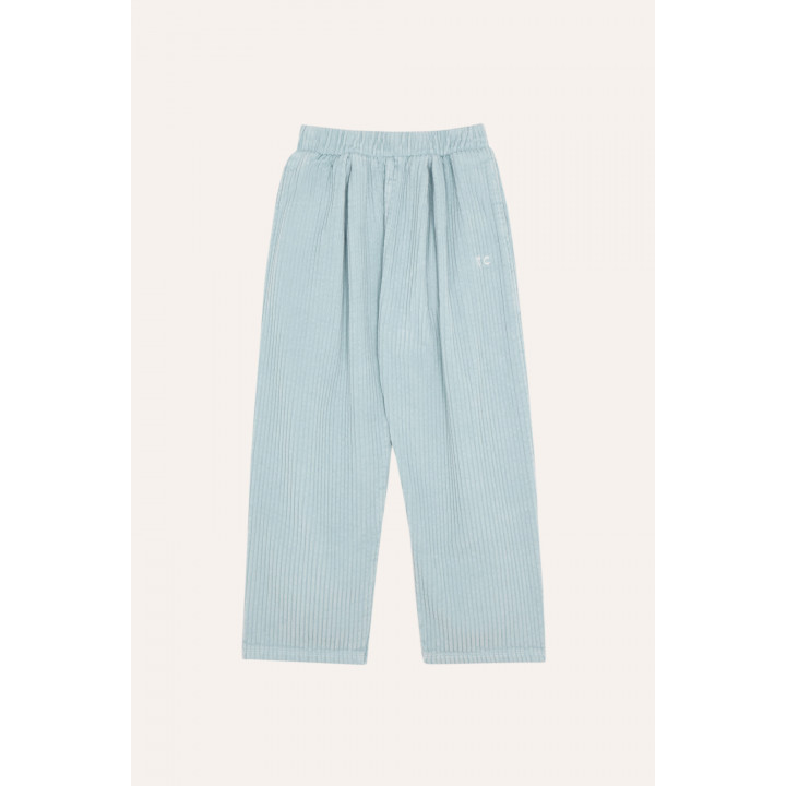 Light Blue Corduroy Trousers