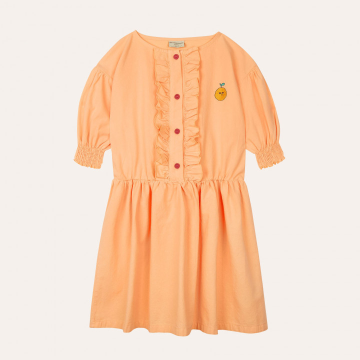 Orange Embroidery Dress 