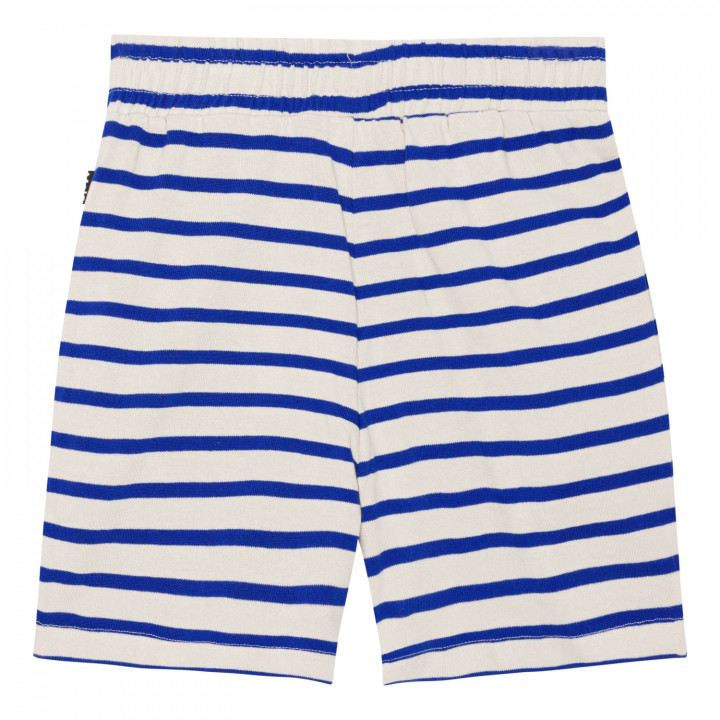 Aelius Shorts Reef Stripe