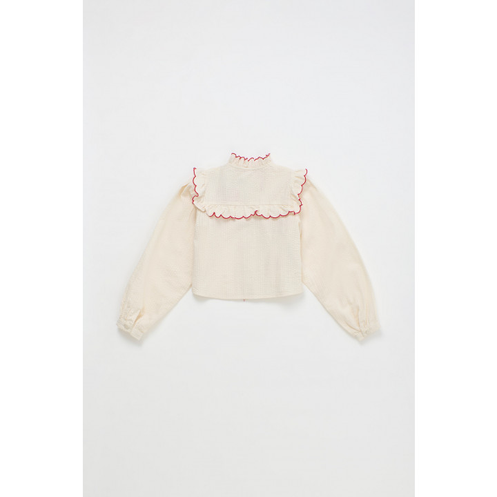Vegetables Embroidery Shirt Angora