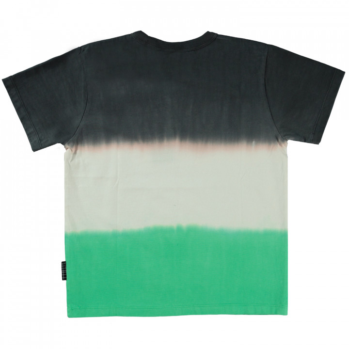 Riley T-Shirt Short Sleeves Green Stripe Dye