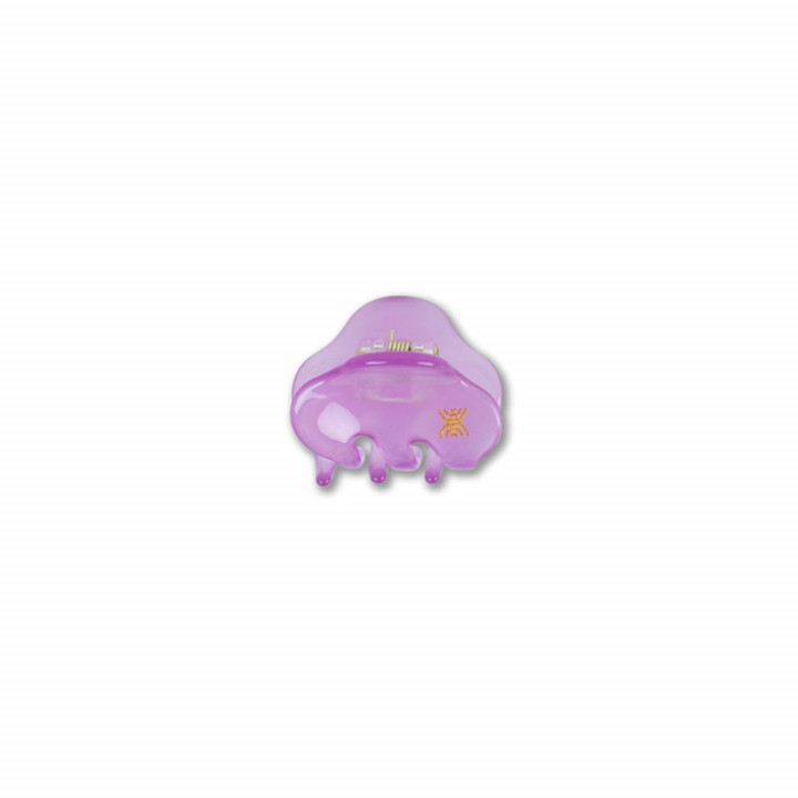 Hair Clamp Small Light Spring Cyclaam