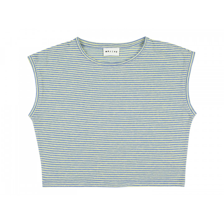 Satin Stripe T-shirt Lemon/Sky