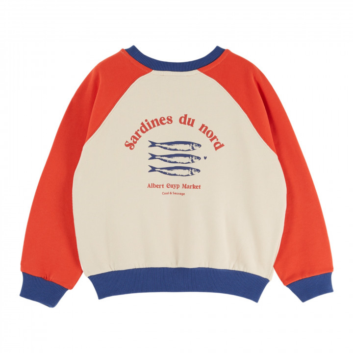 Printed Colourblock Sweatshirt Tricolore
