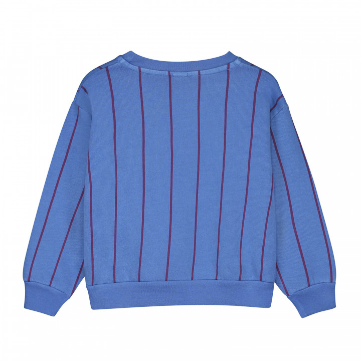 Sweatshirt Vertical Stripes Fresh Blue