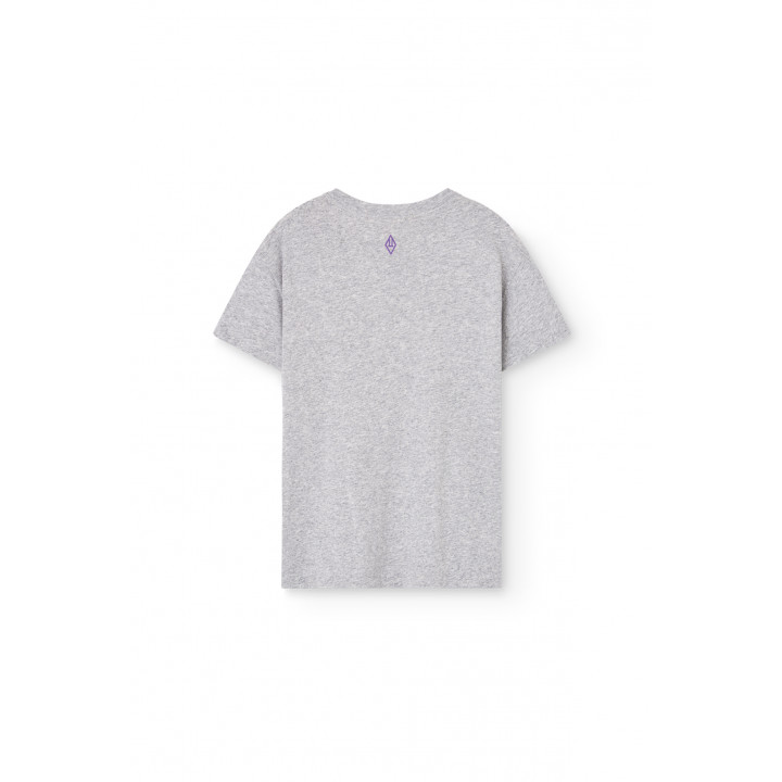 Pupfish Kid T-shirt Medium Grey Heather