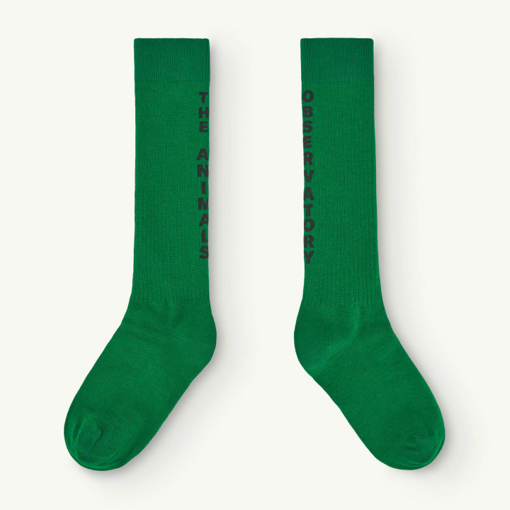 Worm Socks Green